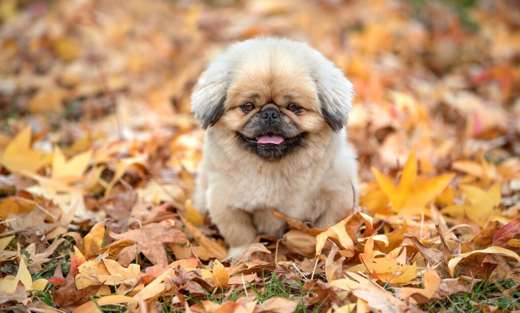 体毛が薄い女性が知っておくべき脱毛方法とは？