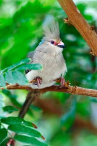 うなじ脱毛の危険を知っておくべき理由とは？