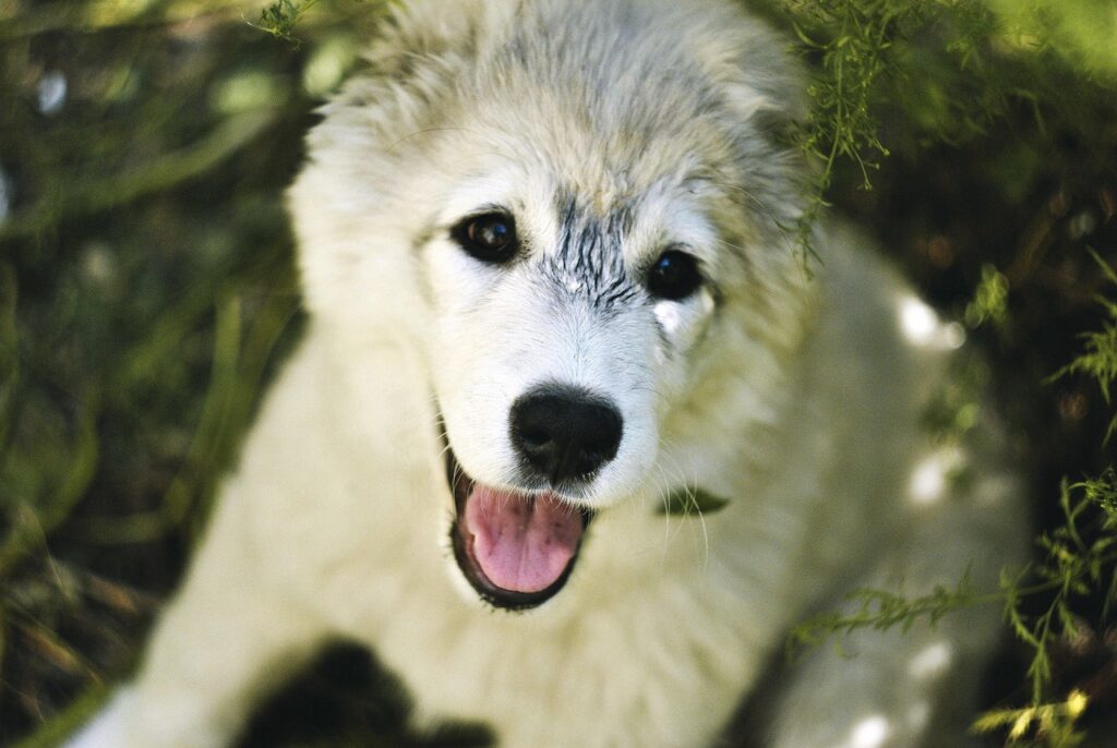 脱毛後にジムで運動を再開するのはいつからが理想？