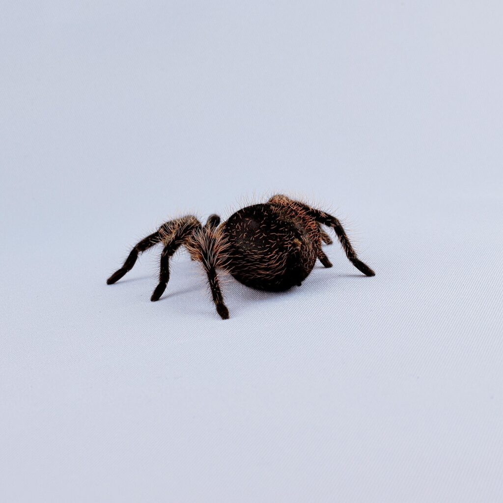 脚のぶつぶつ毛穴を脱毛して改善する方法は？