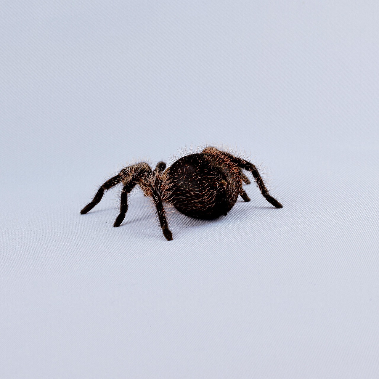 脚のぶつぶつ毛穴を脱毛して改善する方法は？