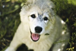 脱毛サロン初めての流れと事前準備はこれで決まり？