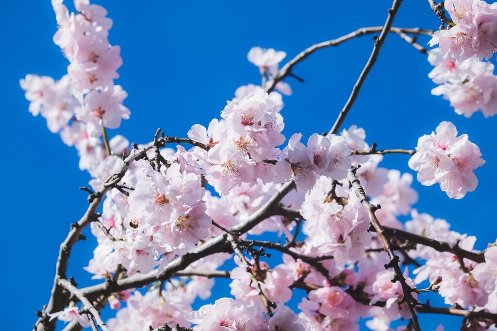 VIO脱毛で蒸れや匂いはどう変わる？