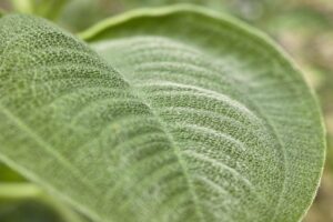 腕脱毛で産毛の効果が出にくい時の対策は？